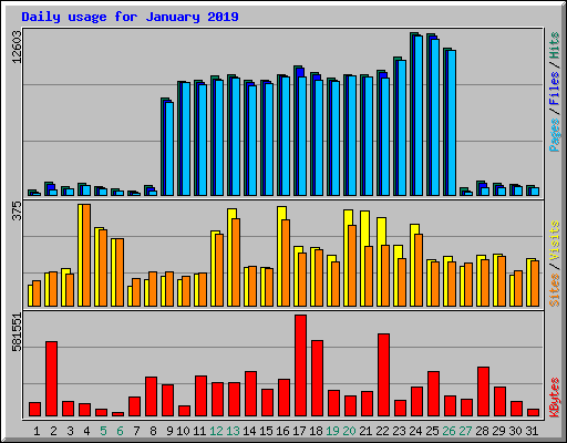 Daily usage for January 2019