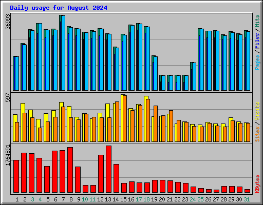 Daily usage for August 2024