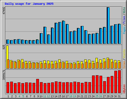 Daily usage for January 2025