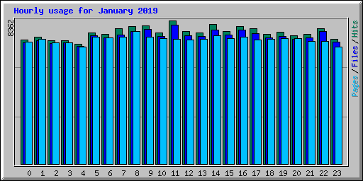 Hourly usage for January 2019