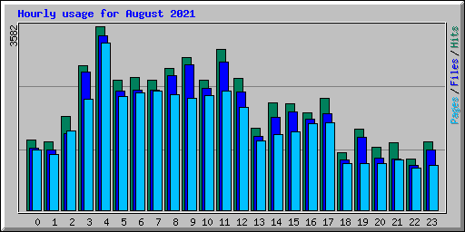 Hourly usage for August 2021