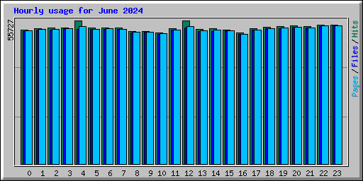 Hourly usage for June 2024