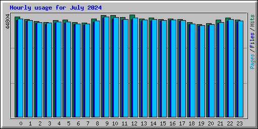 Hourly usage for July 2024