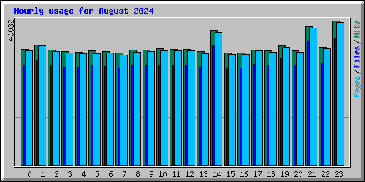 Hourly usage for August 2024