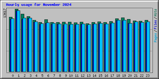 Hourly usage for November 2024