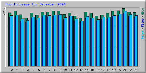 Hourly usage for December 2024