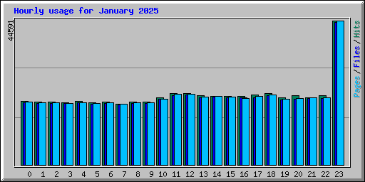 Hourly usage for January 2025