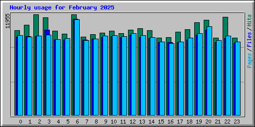 Hourly usage for February 2025