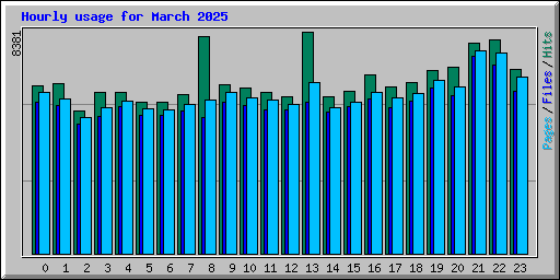 Hourly usage for March 2025