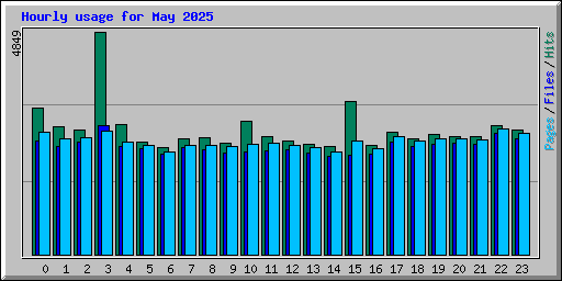 Hourly usage for May 2025